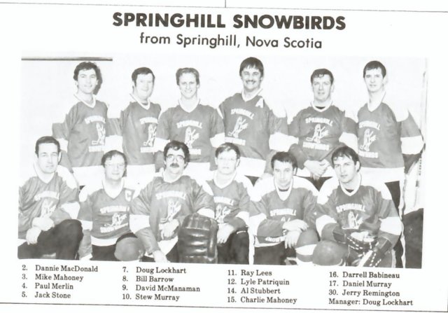 springhillsnowbirds.jpg