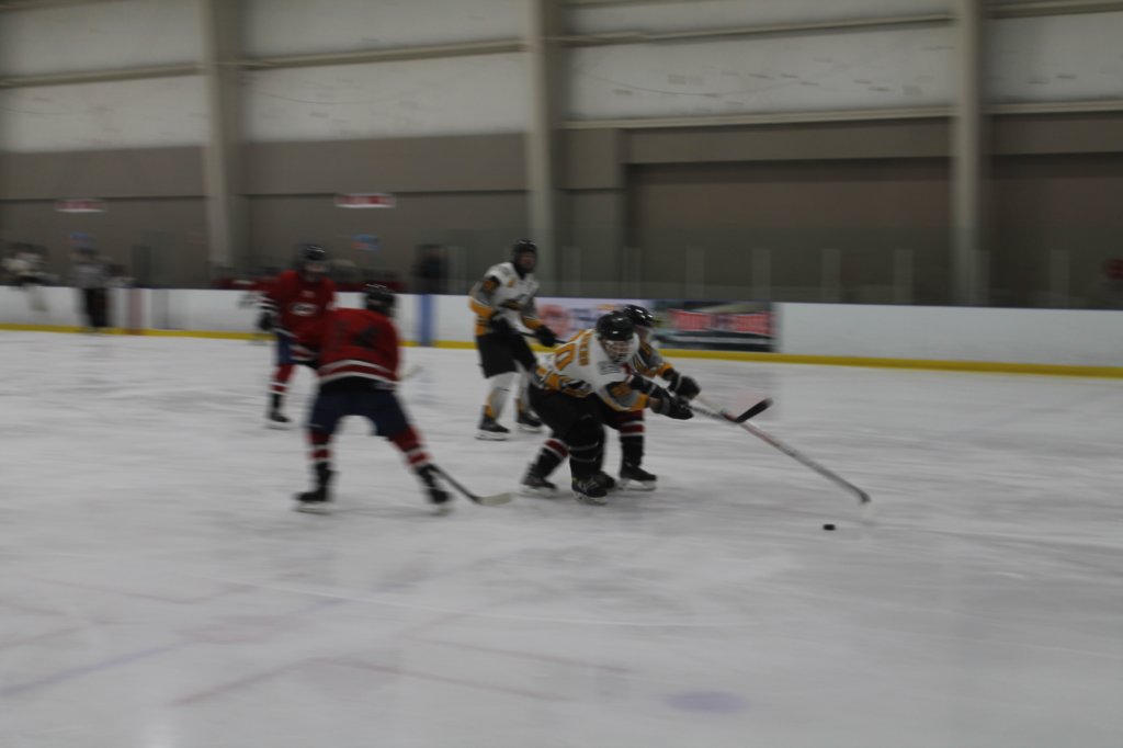 img_1555.jpg